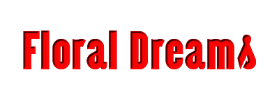 homepage floral dreams banner